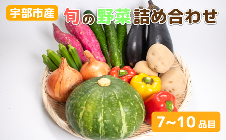 新鮮野菜の産直 [楠こもれびの郷「楠四季菜市」]( やさい 野菜 セット 新鮮 旬の 宇部産 地元 農産物 春 夏 秋 冬 季節の こだわり 厳選 美味しい 詰め合わせ ふるさと納税 返礼品 野菜)AL02-FN