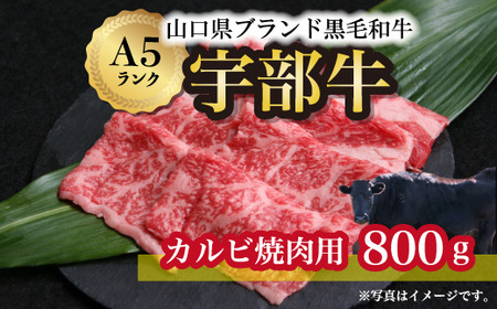 離島配送不可★[宇部牛]カルビ焼肉用 800g(黒毛 和牛 カルビ 肉 牛肉 牛 黒毛和牛 A5 A5ランク 山口県ブランド 黒毛和牛 焼肉 用 希少 山口 宇部 特産 特産品 ブランド ふるさと納税 返礼品 絶品 有名 山口県 宇部市 こだわり スペシャル 特産 希少 肉 とろける お肉)AX05-FN