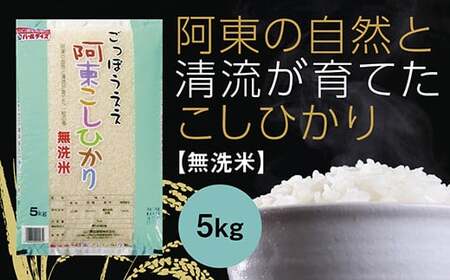 阿東こしひかり(無洗米5kg)