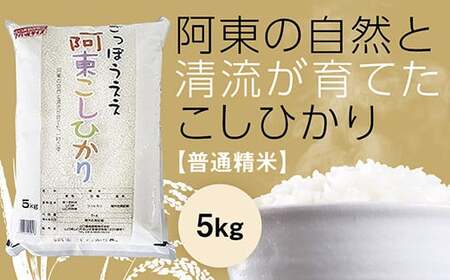 阿東こしひかり(普通精米5kg)