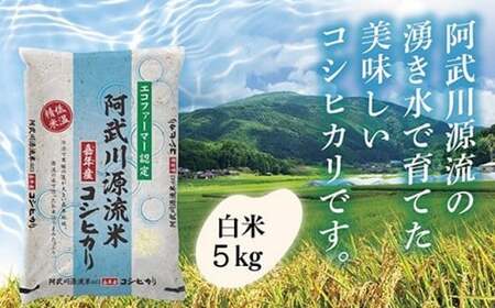 阿武川源流米コシヒカリ白米5kg