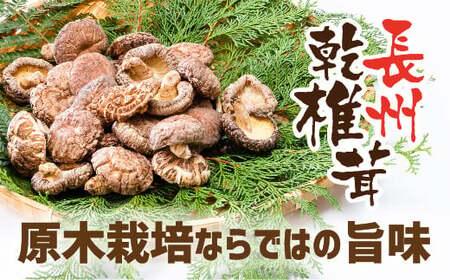 長州乾椎茸ホール35g×3
