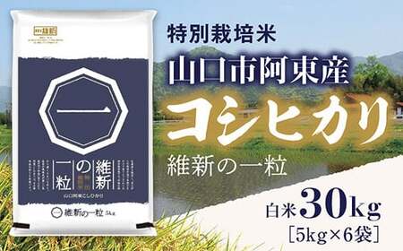 A097 ېV̈ꗱ5s×6܁iāj