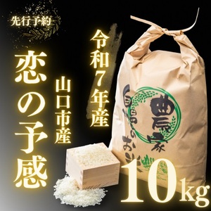 D403 _ƒIRsYVāu̗\v10kg