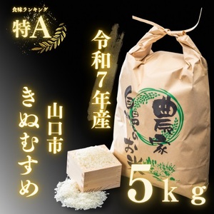 農家直送!山口市産新米「きぬむすめ」精米5kg