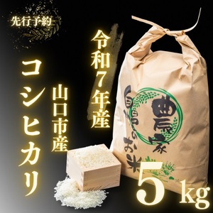 農家直送!山口市産新米「コシヒカリ」精米5kg