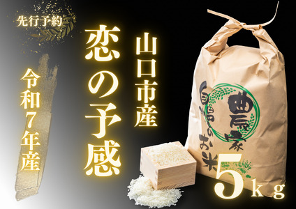 農家直送!山口市産新米「恋の予感」精米5kg