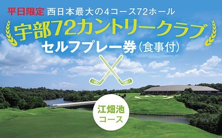 [平日限定]セルフプレー券(江畑池コース・食事付)