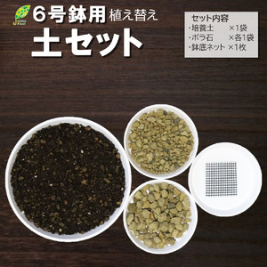 培養土 [植え替え土セット] 観葉植物の土 6号
