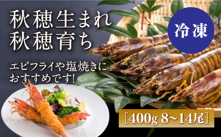 秋穂産活き〆冷凍車海老(あいおえび)400g(8〜14尾)[養殖]