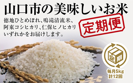 山口の美味しいお米定期便 5kg×12回(白米)