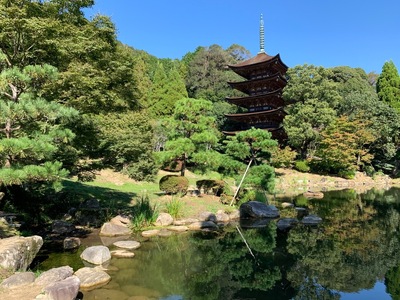 国宝瑠璃光寺五重塔保存修理事業
