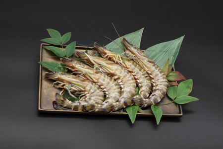 D413 yHYԊCVgpz{iJWZE@5