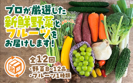 朝採り野菜とフルーツの定期便(12回)