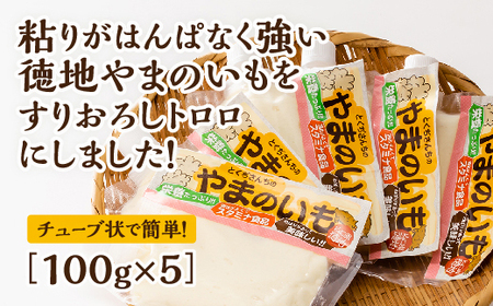 D532 徳地やまのいものすりおろしトロロ　100g×5個