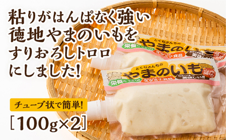 徳地やまのいものすりおろしトロロ 100g×2個