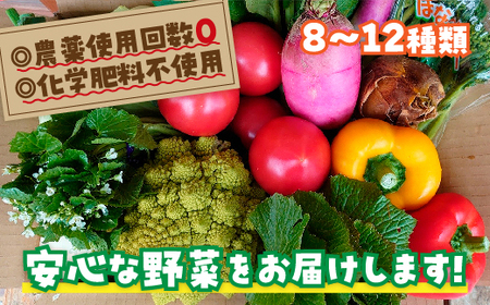 D116 安心野菜ボックス