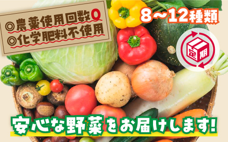 安心お野菜定期便(12回コース)