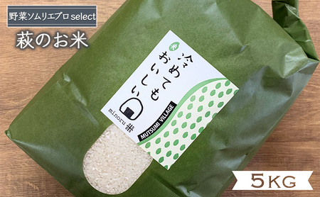 コシヒカリ 5kg みのる米 野菜ソムリエ プロselect 萩のお米 萩市 むつみ産 米 お米 白米