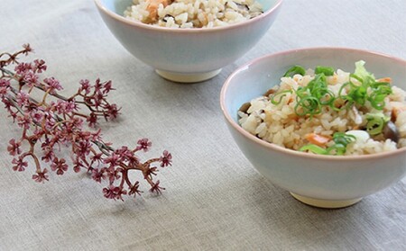 萩焼 ミント お茶碗 ペアセット|HG000140