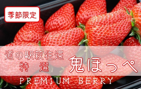 道の駅萩往還の名物イチゴ/「鬼ほっぺ®」 特選 15粒入|HG000398