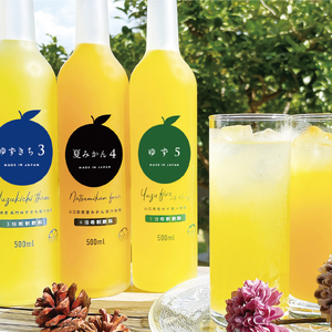 柑橘 ジュース 濃厚希釈 山口県産 3種セットA 500ml×3本 セット/夏みかん 柚子 ゆずきち|HG000824