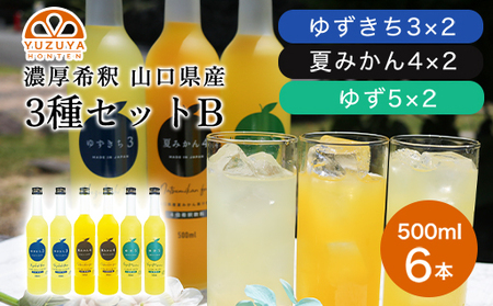 k W[X Z RY 3ZbgB 500ml×6{ Zbg /Ă݂ Mq 䂸bHG000825