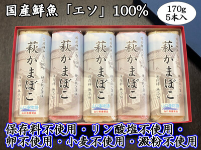 萩かまぼこ 170g 紅白5本[化粧箱入](国産鮮魚エソ100%)|HG000835