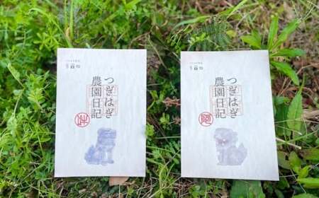みかん 甘夏 10kg セット 『つぎはぎ農園日記』つぎはぎセット 果物 柑橘 ミカン フルーツ|HG000879