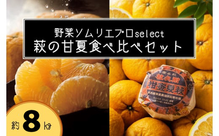 萩の甘夏 食べ比べ セット 8kg以上 20玉程度 野菜ソムリエ プロselect 甘夏 果物 デザート 柑橘|HG001024
