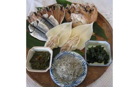 萩のおいしいお魚セット 6種 あじ のどぐろ イカ 一夜干し わかめ ちりめん|HG001050