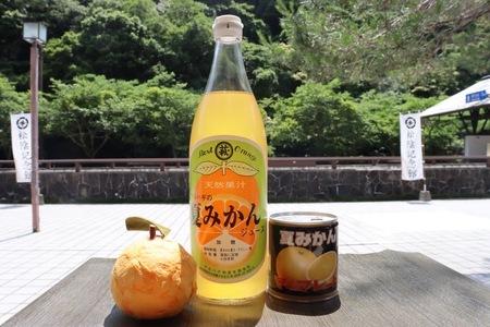 みかん 加工品 セット 萩名産 夏みかん マーマレード 370g×5個 & 夏みかん ジュース 900ml×2本 柑橘類|HG001058