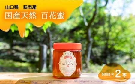 純粋天然 百花はちみつ 600g×2本|HG001061