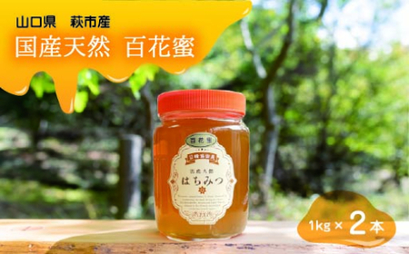 純粋天然　百花はちみつ　1kg×2本｜HG001063