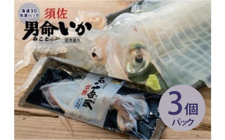 自宅で透明感を再現!須佐男命いかの姿造り(刺身)特殊冷却「3D冷凍」パック 3個|HGH00043