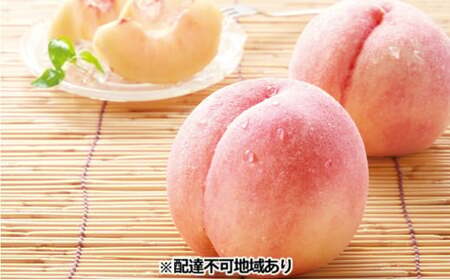 小川桃(萩産)大玉5〜6玉[配達不可:北海道・沖縄・離島]|HG000529