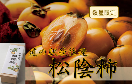 150年の時を超えた/松陰柿|HG000433