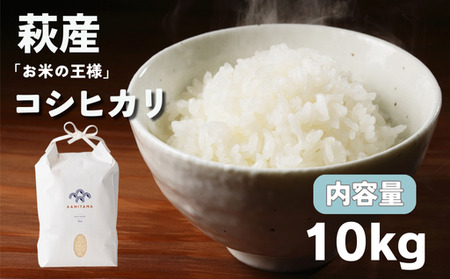 �R�V�q�J�� �ߘa7�N 10kg �� �R�� ���� ���Y KAMITAMA�bHG000290