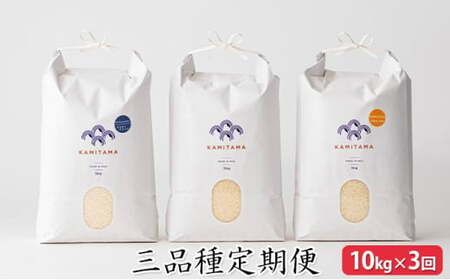 ����� �O�i�� �� �ߘa7�N 10kg×3�� �R�� ���� ���Y KAMITAMA�bHG0T0392