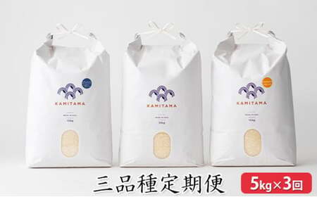定期便 三品種 米 令和7年 5kg×3回 コメ こめ 萩産 KAMITAMA|HG0T0393