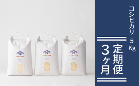 定期便 3か月 コシヒカリ 令和7年 5kg 米 コメ こめ 萩産 KAMITAMA|HG0T0586