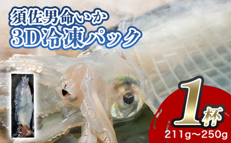 自宅で透明感を再現!須佐男命いかの姿造り(刺身)特殊冷却「3D冷凍」パック 1個|HG000427