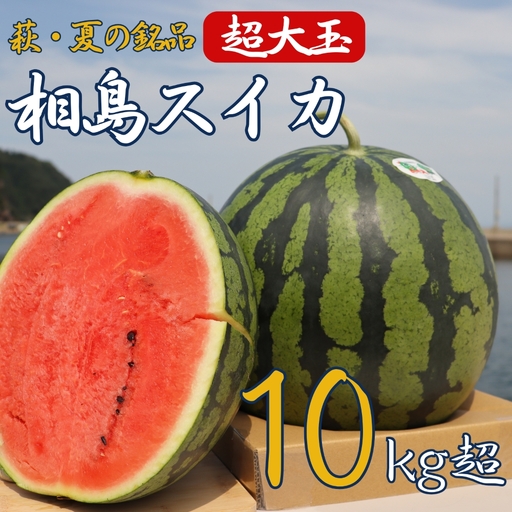 スイカ 10kg以上 萩・夏の銘品 相島 西瓜 秀品 大玉すいか フルーツ 果物 果物類 贈答品 ギフト