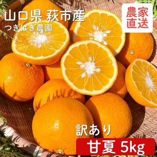 甘夏 5kg と『つぎはぎ農園日記』セット