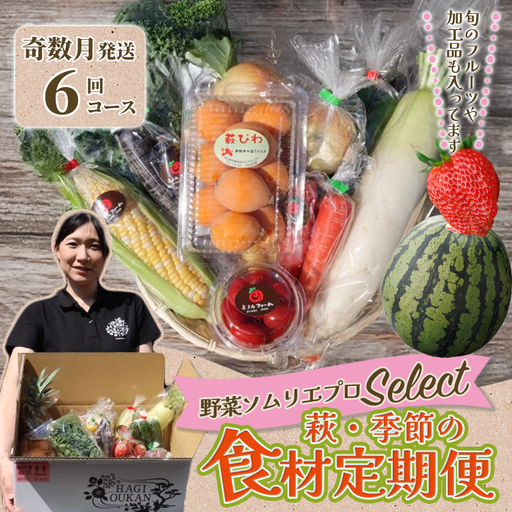 野菜ソムリエプロselect/萩・季節の食材定期便 奇数月発送・6回コース