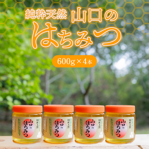 純粋天然 山口のはちみつ600g 4本