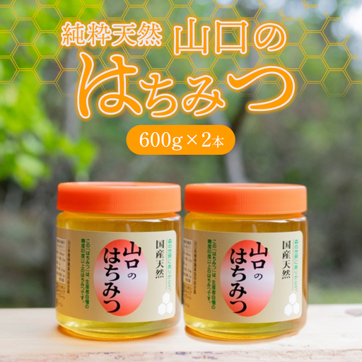 純粋天然 山口のはちみつ600g 2本