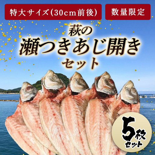 数量限定・萩の瀬つきあじ開き(特大サイズ/全長30cm前後を5尾入り)