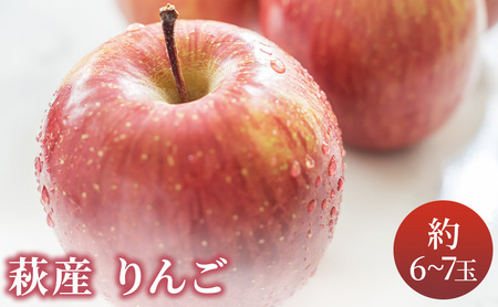 リンゴ 詰め合わせ 萩りんご 萩産 季節の品種 約6〜7玉