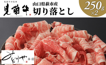 [数量限定]山口県萩市産 見蘭牛 切り落とし 500g (250g×2)